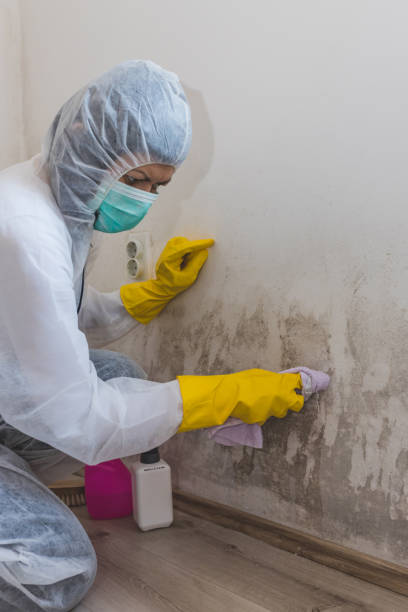 Best Mold Remediation for Healthcare Facilities  in Mcloud, OK