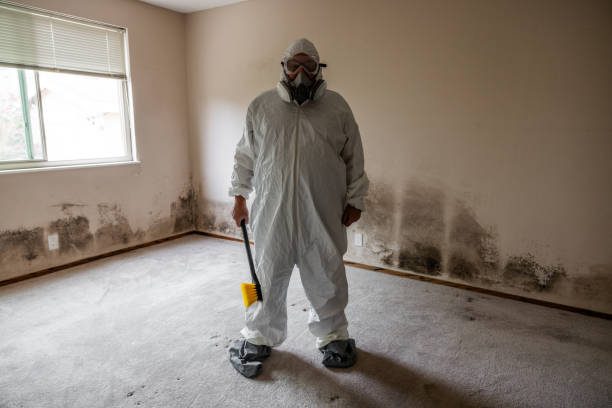 Best Mold Damage Restoration  in Mcloud, OK